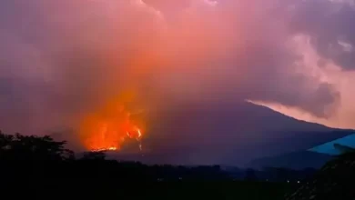 Gunung Lawu di Jawa Tengah kebakaran.